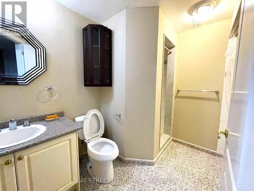 basement bathroom - 17 Dunvegan Drive, Richmond Hill, ON - Indoor Photo Showing Bathroom