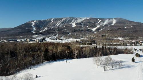 Autre - 3 Rue De La Ferréolaise, Saint-Ferréol-Les-Neiges, QC - Outdoor With View