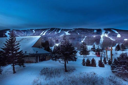 Exterior - 3 Rue De La Ferréolaise, Saint-Ferréol-Les-Neiges, QC - Outdoor