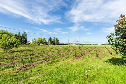 Other - 136 Rg Grand-Sabrevois, Sainte-Anne-De-Sabrevois, QC - Outdoor With View