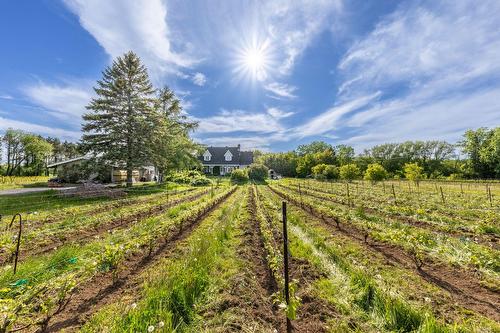 Other - 136 Rg Grand-Sabrevois, Sainte-Anne-De-Sabrevois, QC - Outdoor With View