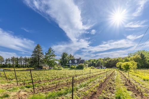 Autre - 136 Rg Grand-Sabrevois, Sainte-Anne-De-Sabrevois, QC - Outdoor With View