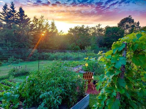 7056 Highway 329, East River Point, NS 