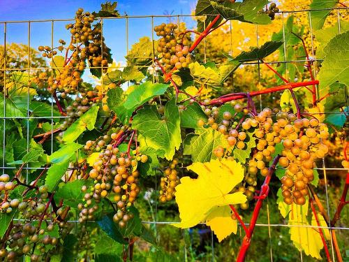 7056 Highway 329, East River Point, NS 