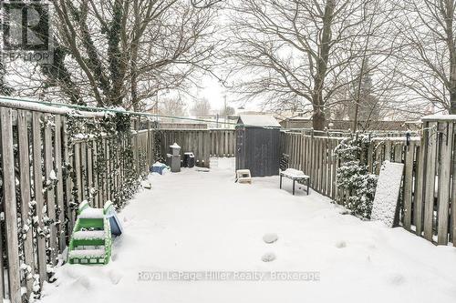 Backyard with new shed - 13 Arden Park, Stratford, ON - Outdoor
