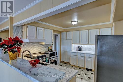 10 Regent Street, St. Thomas, ON - Indoor Photo Showing Kitchen With Upgraded Kitchen