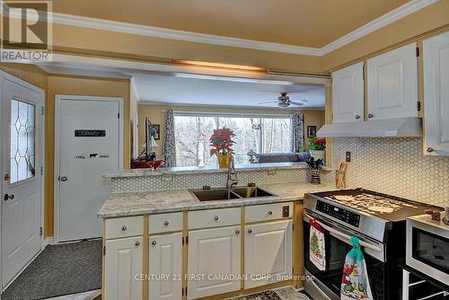 10 Regent Street, St. Thomas, ON - Indoor Photo Showing Kitchen With Double Sink