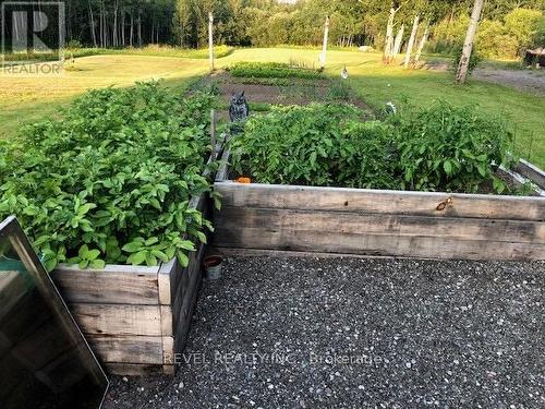 540 Mahoney Road, Timmins (Mtj - Mountjoy Rural), ON - Outdoor