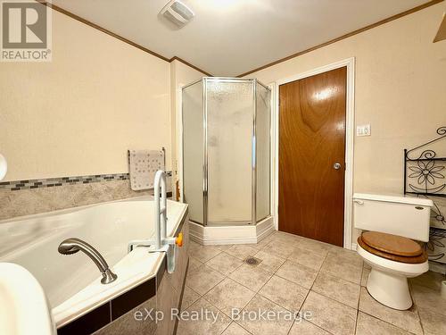 173266 Mulock Road, West Grey, ON - Indoor Photo Showing Bathroom