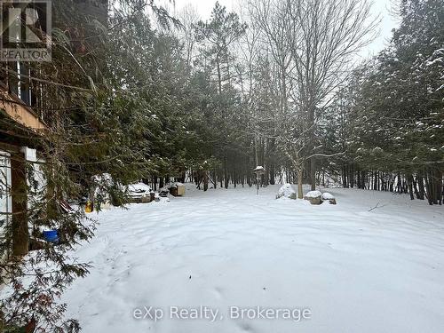 173266 Mulock Road, West Grey, ON - Outdoor