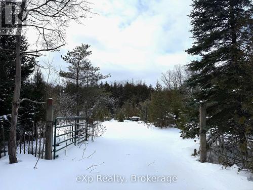 173266 Mulock Road, West Grey, ON - Outdoor With View