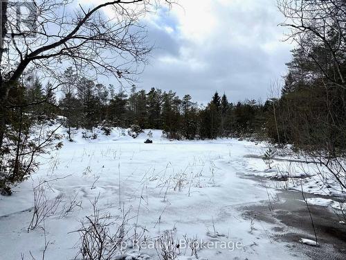 173266 Mulock Road, West Grey, ON - Outdoor With View