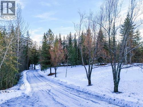 4678 Ten Mile Lake Road, Quesnel, BC - Outdoor With View
