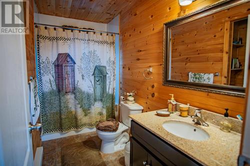 43 Birch Ridge Road, Goulds Big Pond, NL - Indoor Photo Showing Bathroom