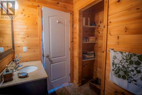 43 Birch Ridge Road, Goulds Big Pond, NL - Indoor Photo Showing Bathroom