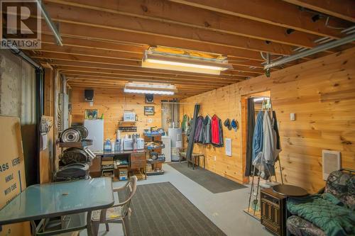 43 Birch Ridge Road, Goulds Big Pond, NL - Indoor Photo Showing Basement