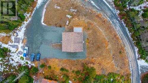 43 Birch Ridge Road, Goulds Big Pond, NL - Outdoor