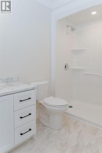 3B Temple Avenue, Appleton, NL - Indoor Photo Showing Bathroom