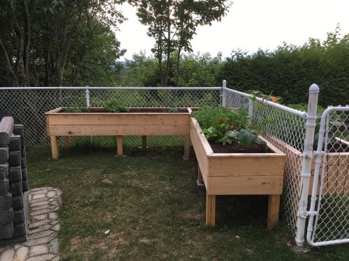 Courtyard - 621 Boul. Robitaille, Notre-Dame-Du-Mont-Carmel, QC - Outdoor