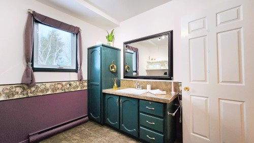 Powder room - 621 Boul. Robitaille, Notre-Dame-Du-Mont-Carmel, QC - Indoor Photo Showing Bathroom