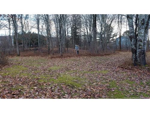 7 Drury Lane, Kiersteadville, NB 