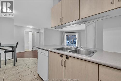 1390 Lauzon Road Unit# 114, Windsor, ON - Indoor Photo Showing Kitchen With Double Sink
