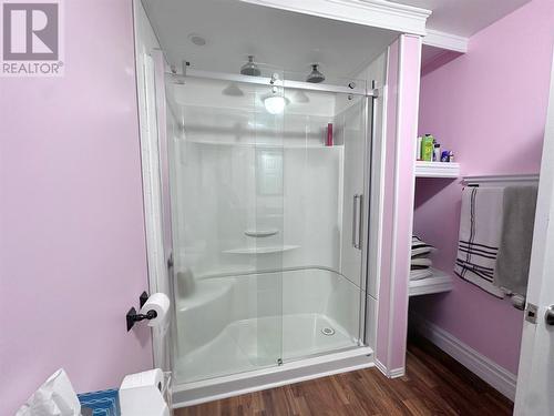 1 High Street, Middle Arm, NL - Indoor Photo Showing Bathroom