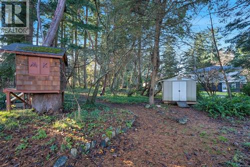 Forested back yard with playhouse and shed - 2229 Arbutus Rd, Saanich, BC - Outdoor