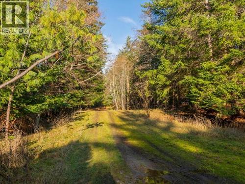 6080 Shelter Point Road, Texada Island, BC - Outdoor With View