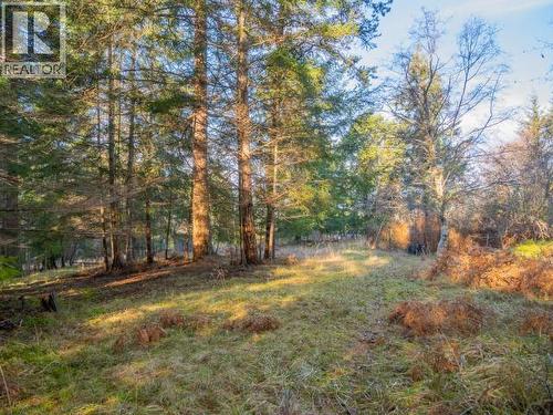 6080 Shelter Point Road, Texada Island, BC - Outdoor With View