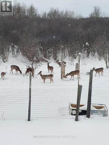 82675 Perth Road 180 Road, Huron East (Mckillop), ON - Other