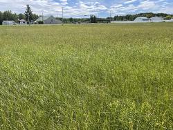 5002  50 Street  Brazeau County, AB T0E 1Z0