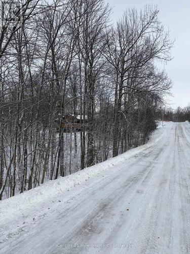 Roadway in front of property - 444613 Concession 8, West Grey, ON 