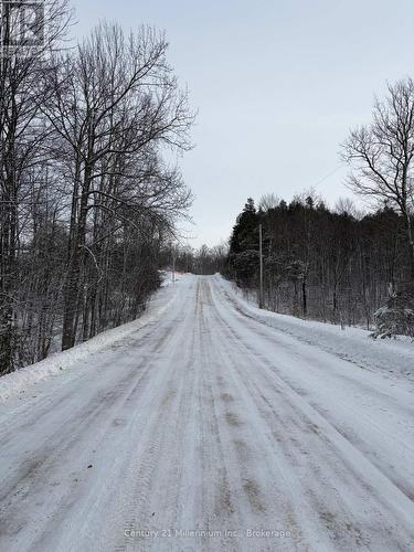 Roadway in front of property - 444613 Concession 8, West Grey, ON 