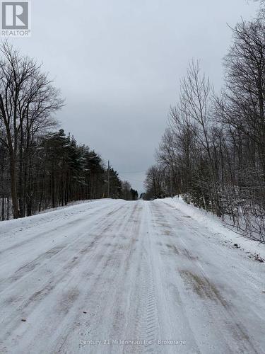 Roadway in front of property - 444613 Concession 8, West Grey, ON 