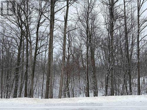 444613 Concession 8, West Grey, ON 