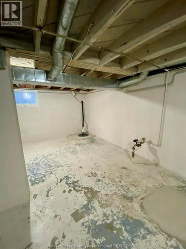 943 Lauzon Road, Windsor, ON - Indoor Photo Showing Basement