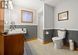 Lower Level 3 pc bath - 