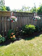 perennials and shrubbery along the fence - 