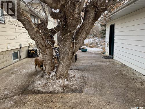 Kippen Farm, Shamrock Rm No. 134, SK - Outdoor