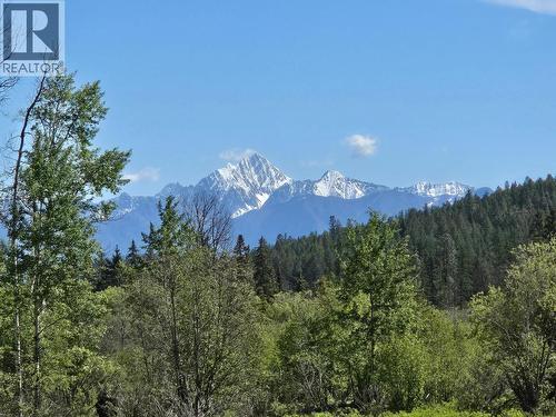 3406 3/95 Highway, Cranbrook, BC - Outdoor With View