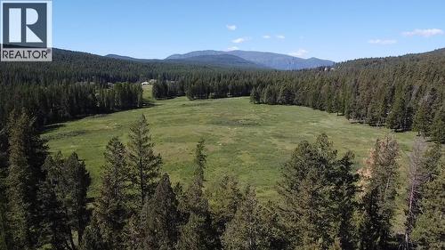 3406 3/95 Highway, Cranbrook, BC - Outdoor With View
