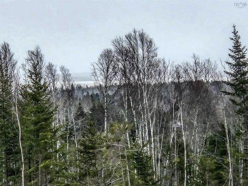 Lot Economy River Road, Economy, NS 