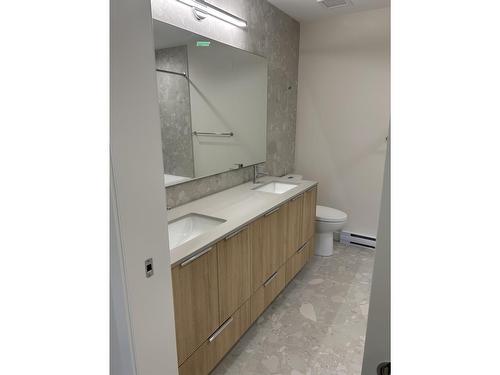 B321 20049 82 Avenue, Langley, BC - Indoor Photo Showing Bathroom