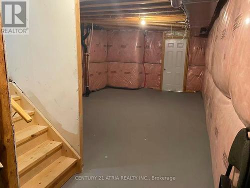 37 Ladder Crescent, East Gwillimbury, ON - Indoor Photo Showing Basement