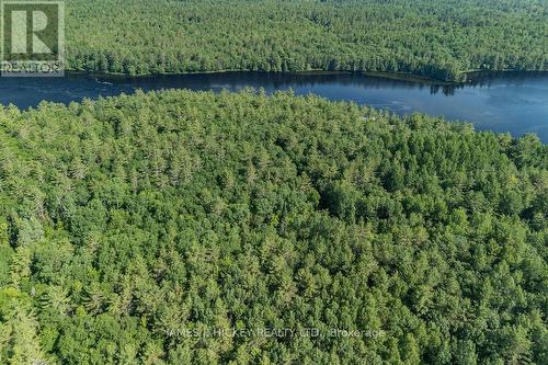 0 Rantz Road, Petawawa, ON 