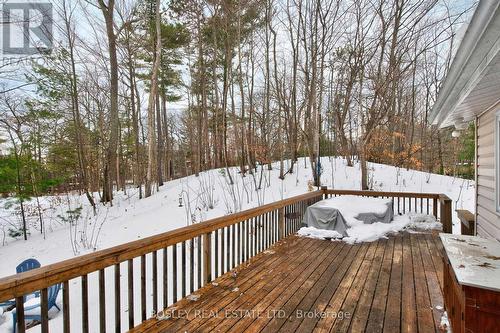 1204 Tiny Beaches Road N, Tiny, ON - Outdoor With Deck Patio Veranda