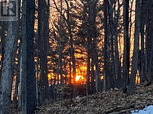 1204 Tiny Beaches Road N, Tiny, ON - Outdoor With View