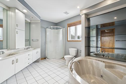 Ensuite bathroom - 170 Rue Mailloux, Saint-Jean-Sur-Richelieu, QC - Indoor Photo Showing Bathroom