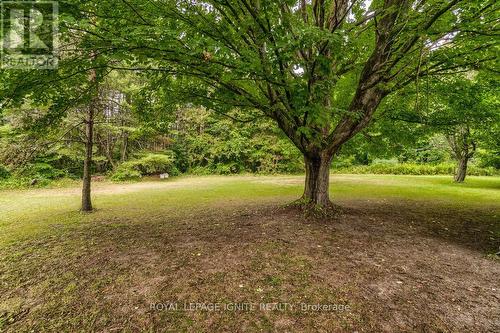 5812 Beech Grove, Caledon, ON 